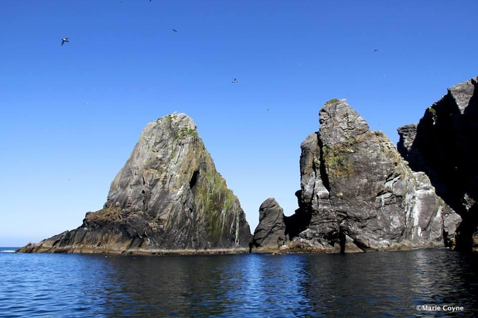 Dolphin Hotel Inishbofin Exterior foto